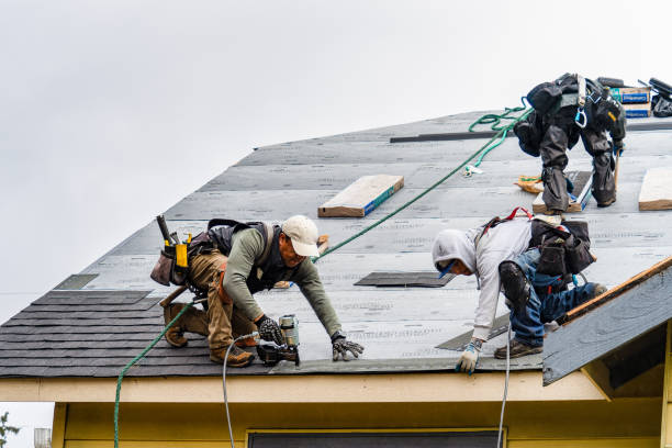 Professional Roofing technician working in Burnsville, MS