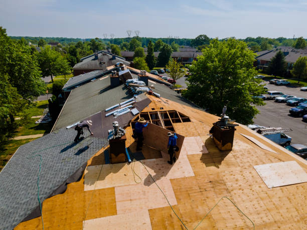 Trusted Roof Replacement service in Burnsville, MS - Brentwood Metal Roofing